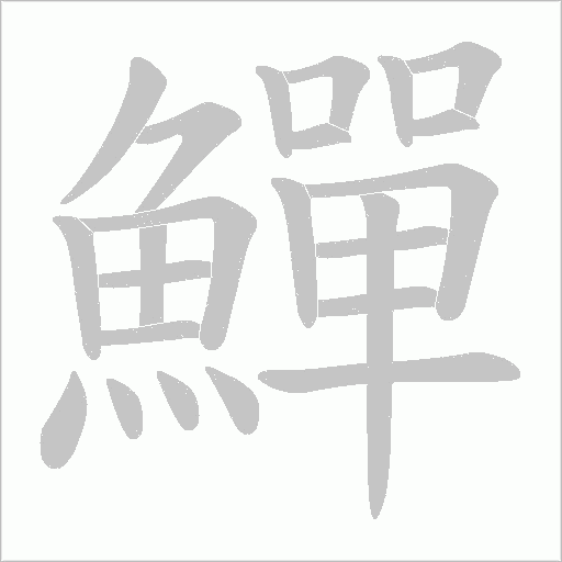 鱓