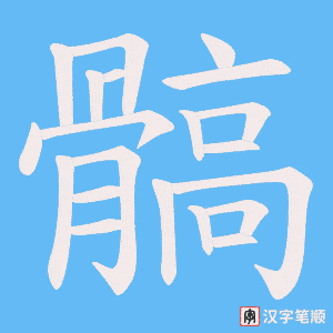 髇