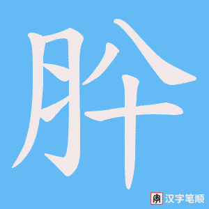 肸