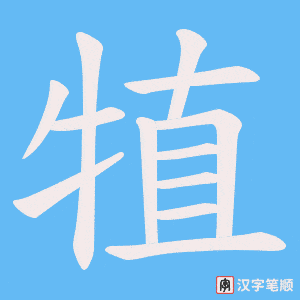 犆