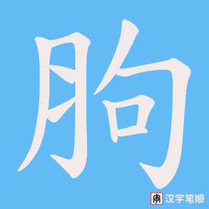 胊